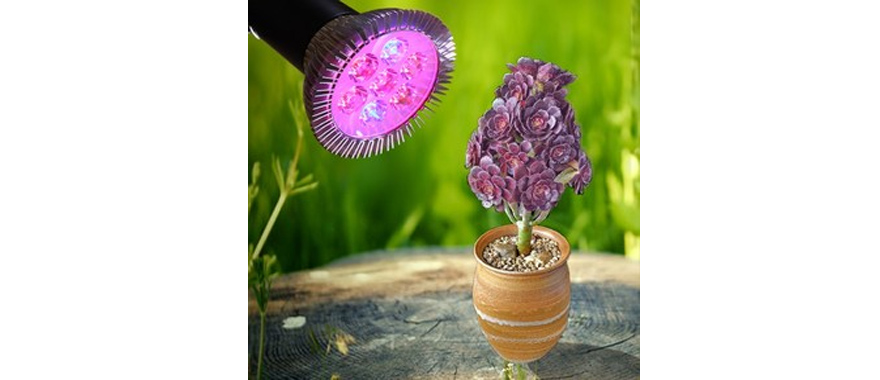 LED植物生長燈吸潮短路、起霉怎么辦？快用線路板電防膠.jpg